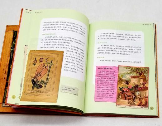 植物文化丛书三种：《染色植物》《糖果植物》《芳香植物》，精装，16开，法 塞尔日.沙著，三联书店2019年版，定价204，售价80元，品相9成。 商品图8