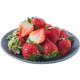 【日日鲜】现摘草莓