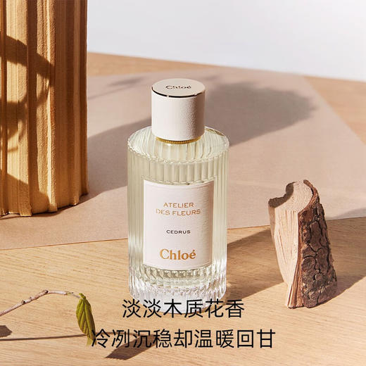 蔻依仙境花园系列香氛-北国雪松 50ml 商品图2