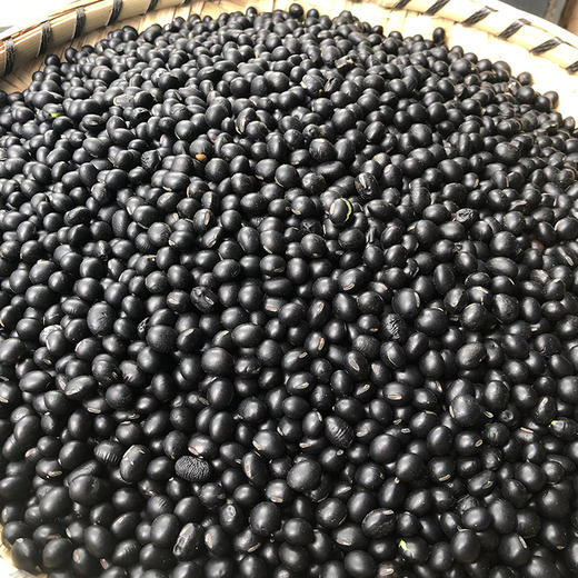 黑豆 商品图2