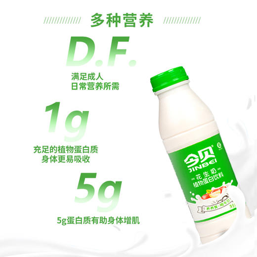 今贝花生奶500ml*4瓶 商品图3