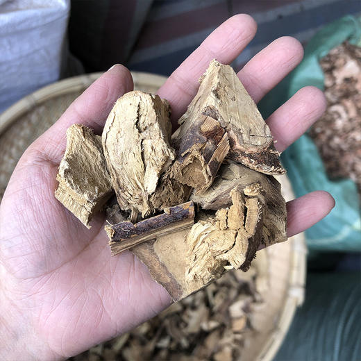 钻地风 云南地方草药 钻地枫 商品图3