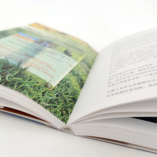 勇士、诗人与魔法——看见苏格兰 鲁佳 北京大学出版社 商品图5