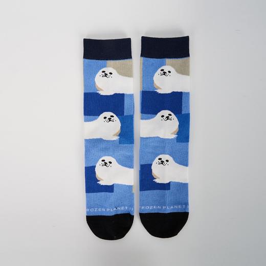 BBC EARTH萌趣卡通熊猫情侣男女潮流款棉袜短袜 商品图2