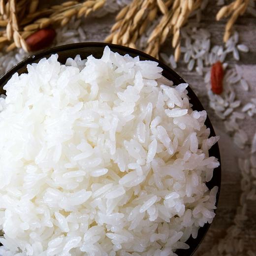  稻宝昌新米正宗东北大米寒地大米 10斤真空包邮 商品图2