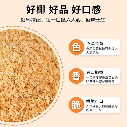 椰府 香脆烤椰粒 烤椰子碎粒 奶茶小料香脆零食烘焙饮品原料 商品图1