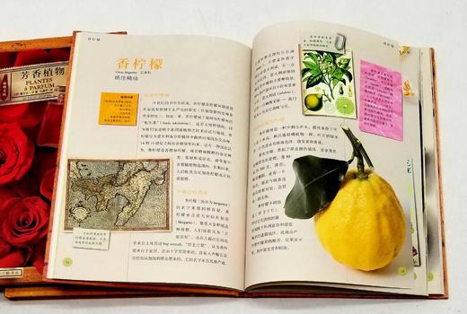 植物文化丛书三种：《染色植物》《糖果植物》《芳香植物》，精装，16开，法 塞尔日.沙著，三联书店2019年版，定价204，售价80元，品相9成。 商品图6