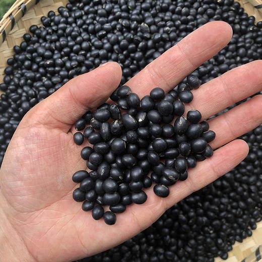 黑豆 商品图3