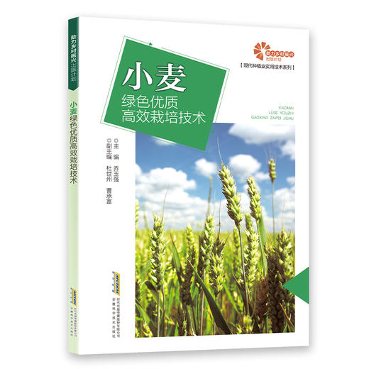 小麦绿色优质高效栽培技术  商品图0