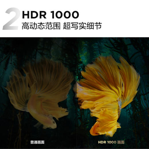 TCL 65C11G 65英寸 百级分区高画质量子点电视4K 商品图3