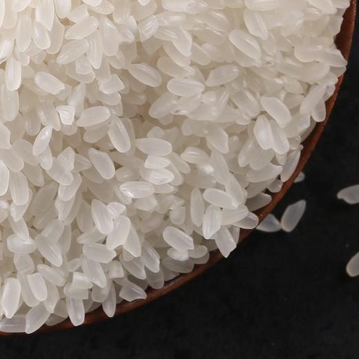 新米上市  米胖墩儿东北大米黑土地种植山泉米 5kg（新老包装随机发货） 商品图10