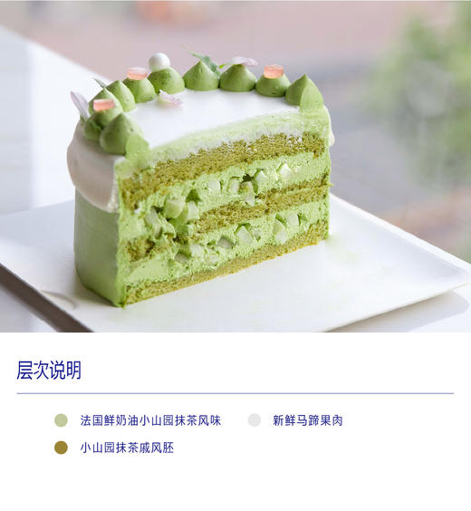 浅草郁金香版（抹茶鲜乳）三种夹心可选 商品图1