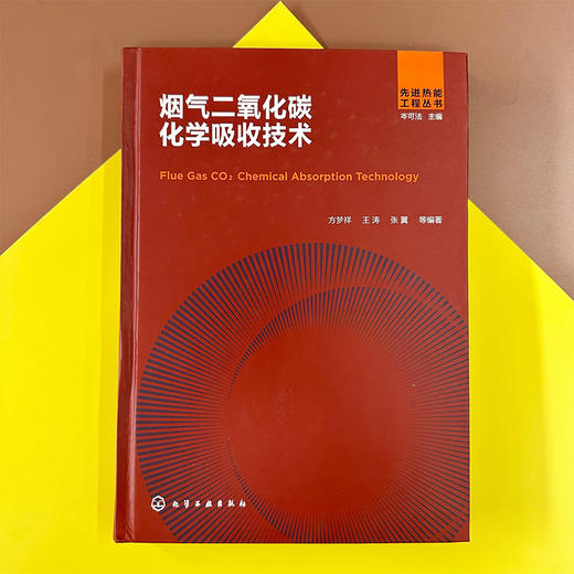 烟气二氧化碳化学吸收技术 商品图2