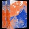 三岛由纪夫作品系列 (3)  禁色（上下） 商品缩略图0