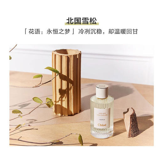 蔻依仙境花园系列香氛-北国雪松 50ml 商品图3