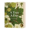 英文原版 A Tree A Day 每天一树 自然植物百科科普彩图图集 Amy-Jane Beer 英文版 进口英语原版书籍 商品缩略图1