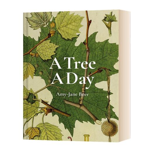 英文原版 A Tree A Day 每天一树 自然植物百科科普彩图图集 Amy-Jane Beer 英文版 进口英语原版书籍 商品图1