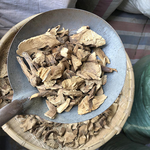 钻地风 云南地方草药 钻地枫 商品图4