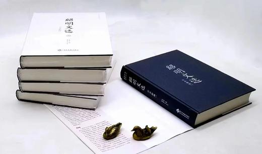 国学经典系列：昭明文选全本新绎（全五册） 商品图2