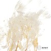 永生花材 | 雾中情人 商品缩略图4