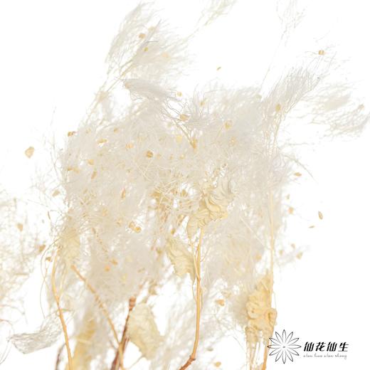 永生花材 | 雾中情人 商品图4