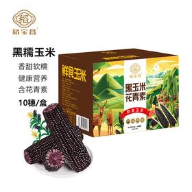  稻宝昌 东北鲜制黑糯玉米棒非转基因真空包邮 10穗2200g