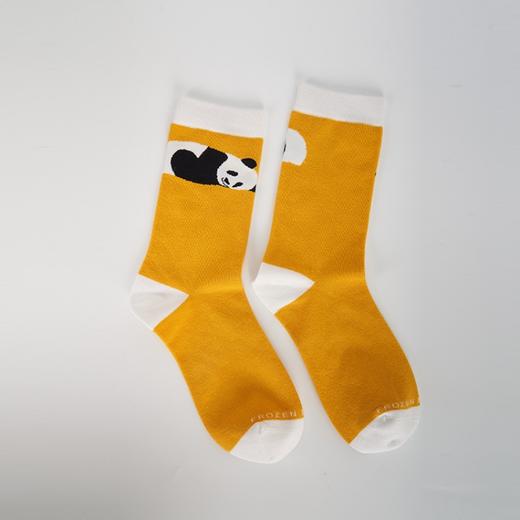 BBC EARTH萌趣卡通熊猫情侣男女潮流款棉袜短袜 商品图3