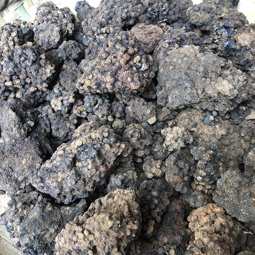 五灵脂 常用规格 敲成小块 方便配药 商品图2