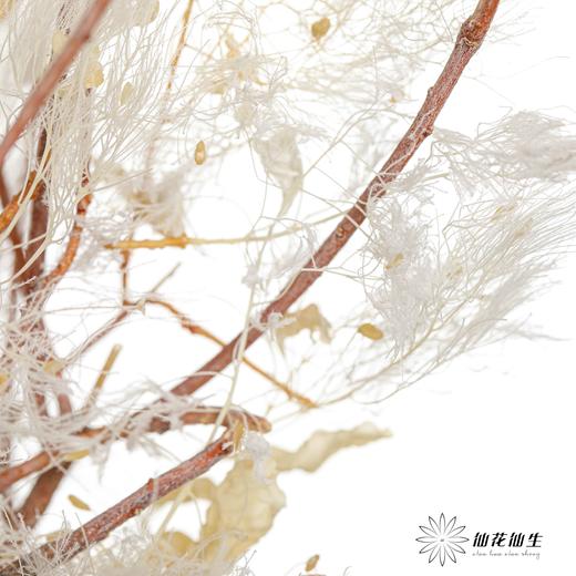 永生花材 | 雾中情人 商品图2