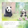 来自森林的熊猫朵朵+走向森林的熊猫响响2本套【中国大熊猫保护研究中心 组编】 商品缩略图4