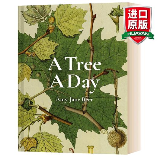 英文原版 A Tree A Day 每天一树 自然植物百科科普彩图图集 Amy-Jane Beer 英文版 进口英语原版书籍 商品图0