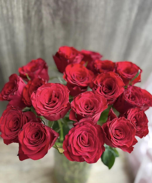 【昆明玫瑰】高原红，20支/扎A级 商品图0
