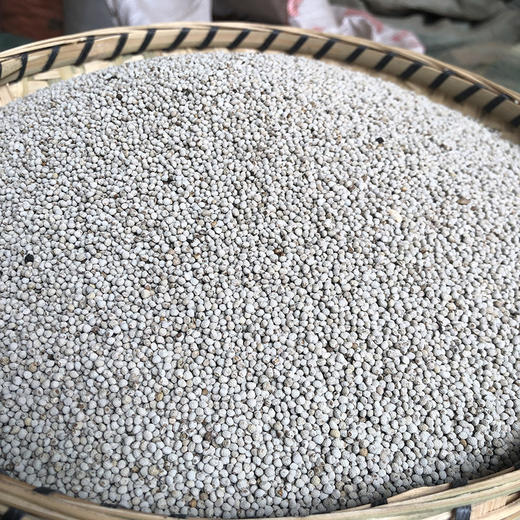 苏子  紫苏子  白苏子 商品图5