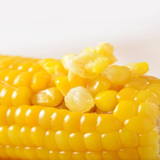 稻宝昌 东北鲜制甜糯玉米棒非转基因真空包邮 10穗2200g 商品图4