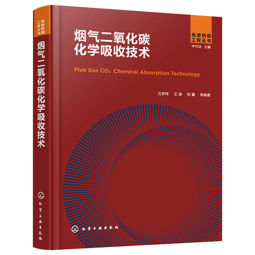 烟气二氧化碳化学吸收技术 商品图1