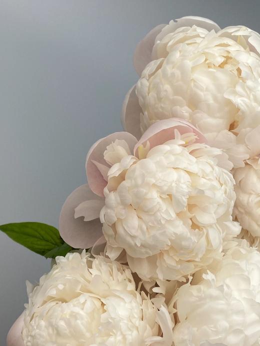 【预售！4.20起陆续发出】欧文斯上校【有的人温柔得连指尖都是粉色，比如说你】简小姐精选进口芍药 欧文斯上校 2件包邮 顺丰空运直发 商品图14