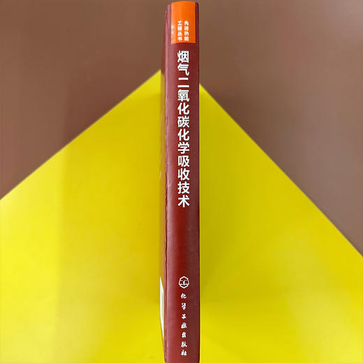 烟气二氧化碳化学吸收技术 商品图5