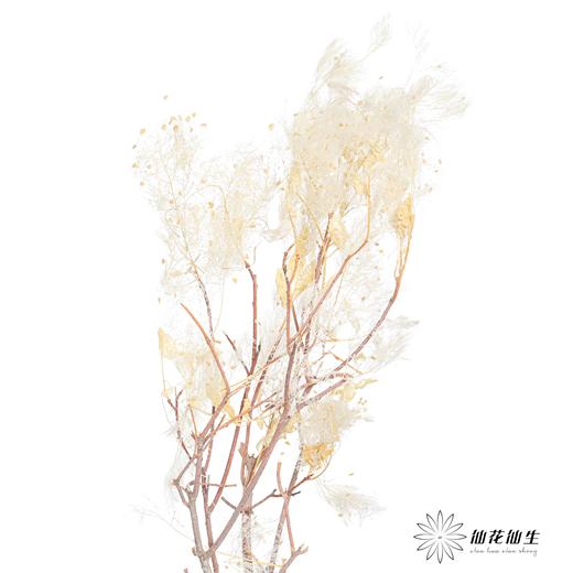 永生花材 | 雾中情人 商品图3
