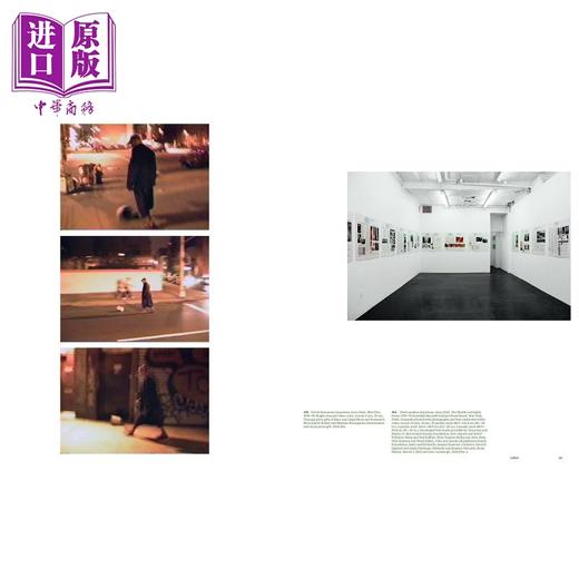 【中商原版】Art Institute Of Chicago Field Guide 芝加哥艺术学院摄影与媒体实地指南 Yale 商品图4