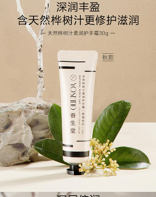 KJ  养生堂北欧桦树林四季香氛护手霜礼盒  30g*4 商品图3