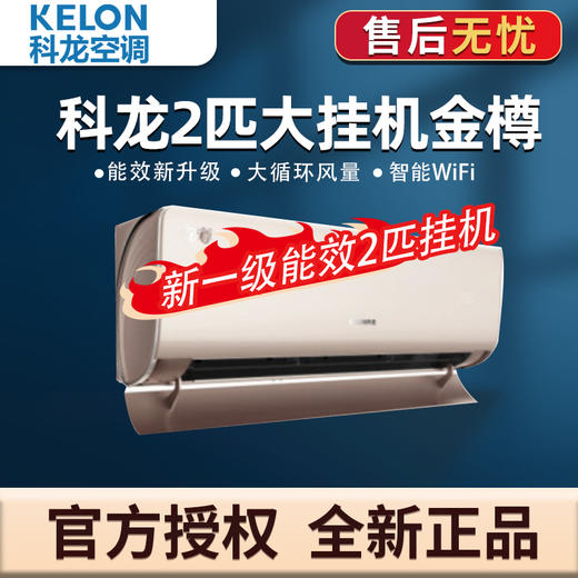 科龙（KELON）空调大2P变频 新一级能效 内外机双清洁 金色KFR-50GW/KB1H-X1(1P1H) 商品图0