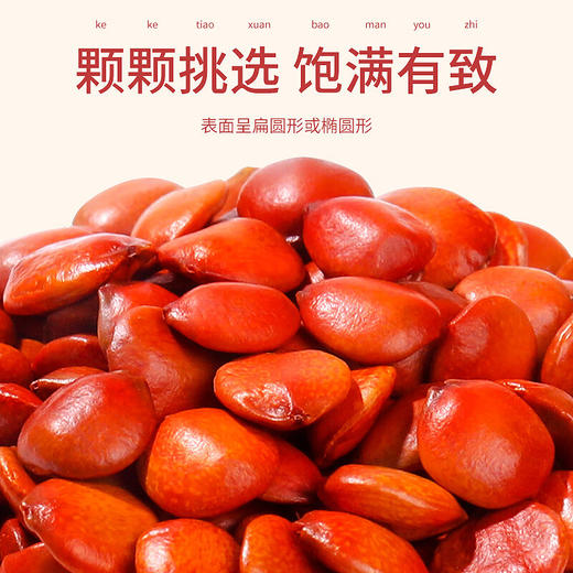 福东海 枣仁100克 商品图2