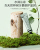 KJ  养生堂北欧桦树林四季香氛护手霜礼盒  30g*4 商品缩略图2