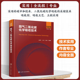 烟气二氧化碳化学吸收技术