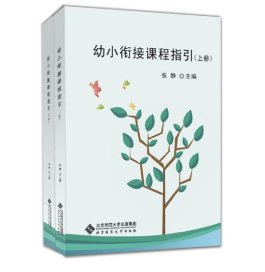包邮正版幼小衔接课程指引（上下册）9787303242535 商品图0