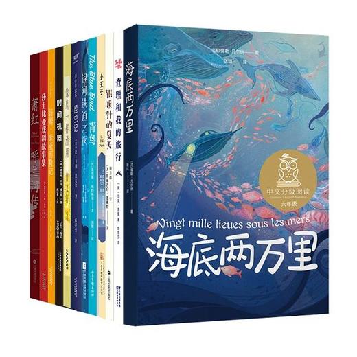 中文分级阅读六年级:中文分级阅读六年级（12册）新版2022 商品图2