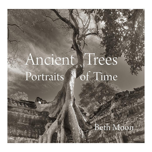 【预订】Ancient Trees: Portraits of Time | 古树:时间的写照 摄影集 商品图0