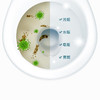  水卫仕 洁厕剂 500g/瓶 商品缩略图4