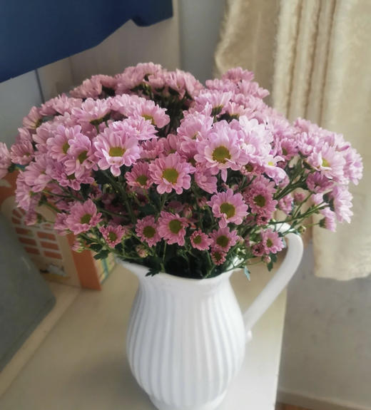 【精品小菊】罗西浅粉 10支/扎（深浅色随机） 商品图0
