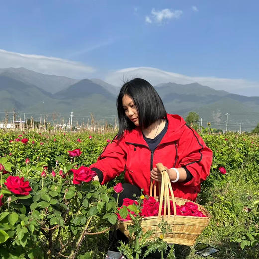 【滇红玫瑰花茶】云南大理 自采自晒头茬精品 汤色清淡 回甘很好 香气高雅 商品图13